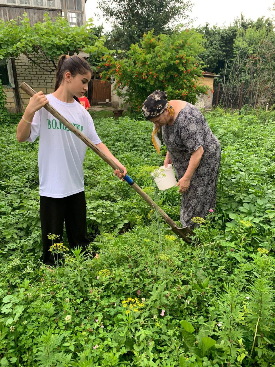 ПОДДЕРЖКА ПОДОПЕЧНЫХ С ПОМОЩЬЮ ВОЛОНТЕРОВ